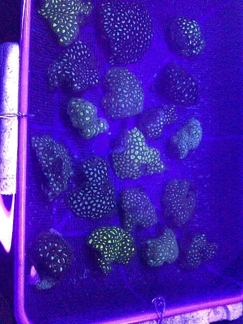 IMG-20111101-01808-2.jpg