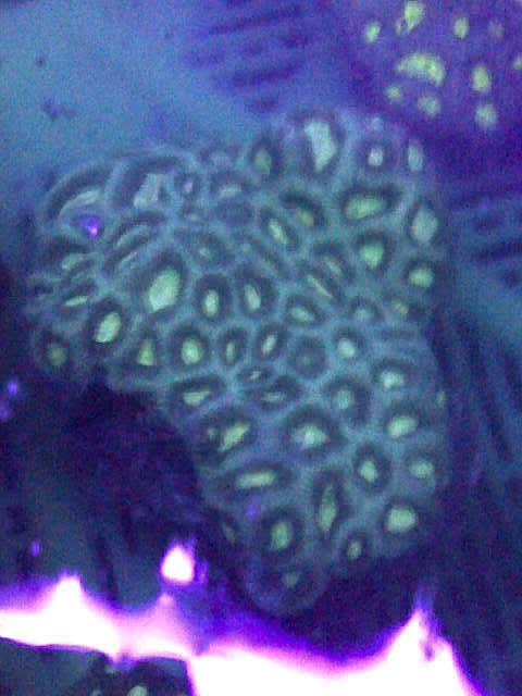 IMG-20111101-01821-2.jpg