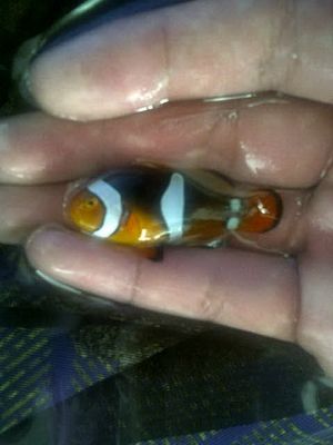 IMG-20120218-03176-2.jpg