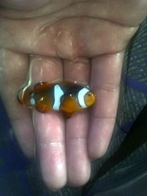 IMG-20120218-03177-2.jpg