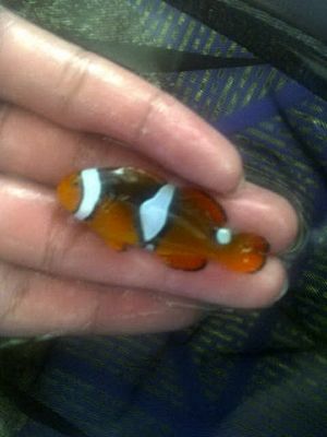 IMG-20120218-03178-2.jpg