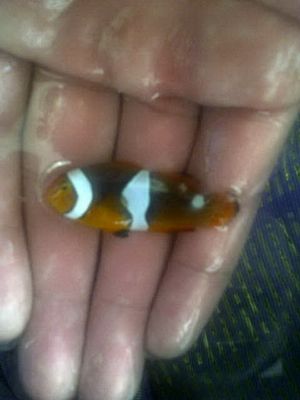 IMG-20120218-03179-2.jpg