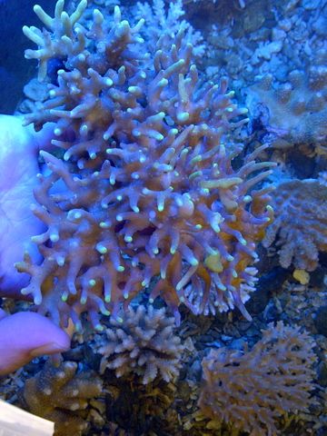 IMG-20120513-00158-1.jpg