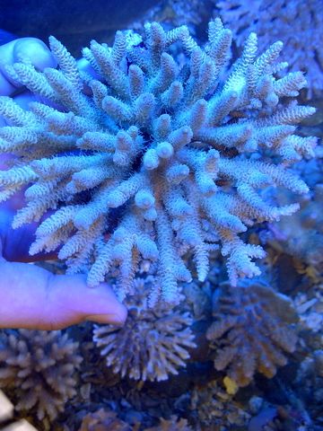 IMG-20120513-00159-1.jpg