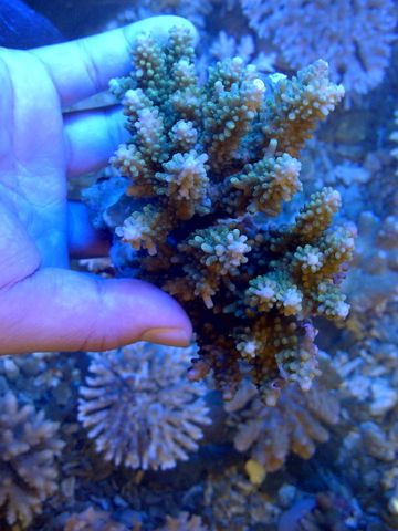 IMG-20120513-00160-1.jpg