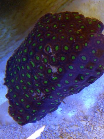 IMG-20120513-00175-1.jpg