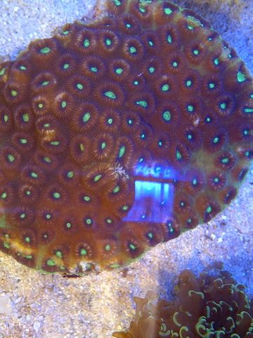 IMG-20120513-00176-1.jpg