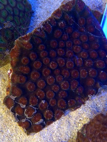IMG-20120513-00177-1.jpg