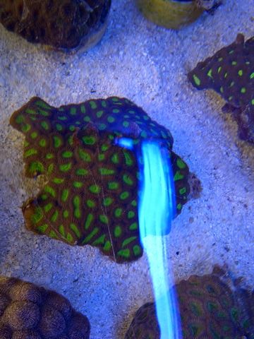 IMG-20120513-00182.jpg