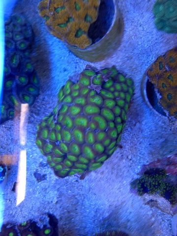 IMG-20120513-00188.jpg