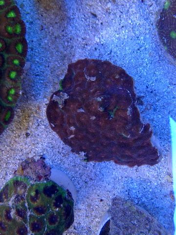 IMG-20120513-00189.jpg