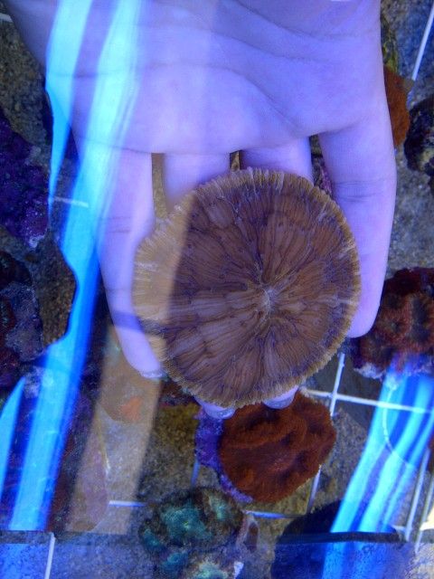 IMG-20120701-01083.jpg