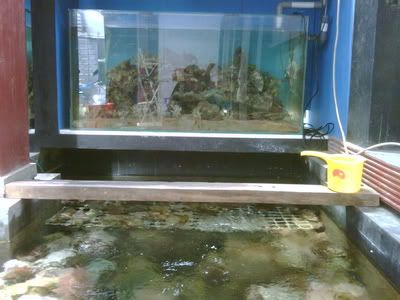 IMG00009-20100907-1125-1.jpg