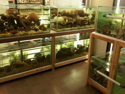 IMG00219-20100919-1005-1.jpg