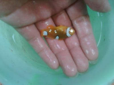 IMG01923-20120303-1246.jpg