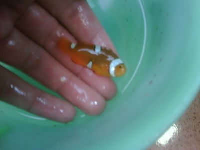 IMG01926-20120303-1247.jpg