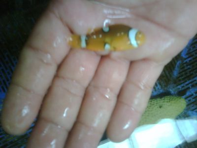 IMG01928-20120303-1416.jpg