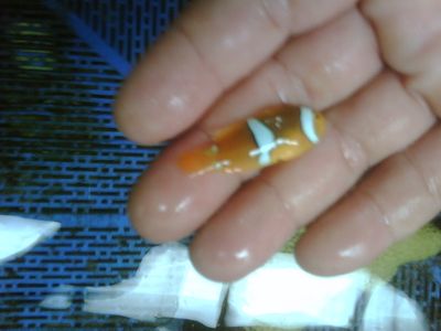 IMG01930-20120303-1416-1.jpg