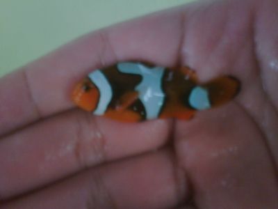 IMG01944-20120305-0809.jpg