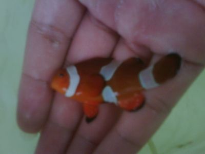 IMG01945-20120305-0810-1.jpg