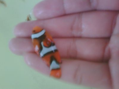 IMG01946-20120305-0810-1.jpg