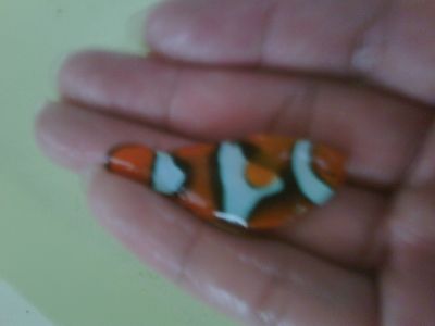 IMG01950-20120305-0812-1.jpg