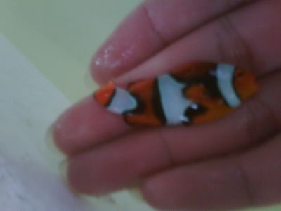 IMG01951-20120305-0812-1.jpg