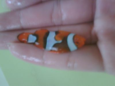 IMG01953-20120305-0813-1.jpg