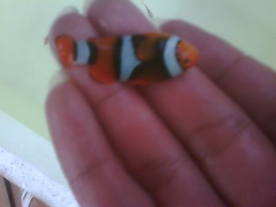 IMG01956-20120305-0815-1.jpg