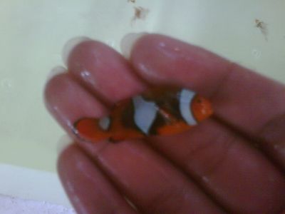 IMG01960-20120305-0827-1.jpg