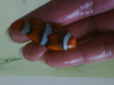 IMG01961-20120305-0828-1.jpg