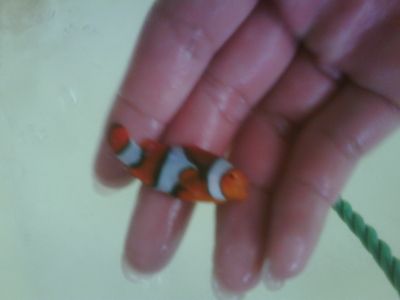 IMG01962-20120305-0829-1.jpg