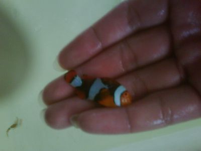 IMG01963-20120305-0829-1.jpg
