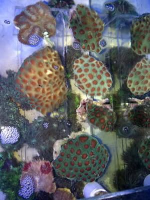 Nanasantiknbatik-2.jpg
