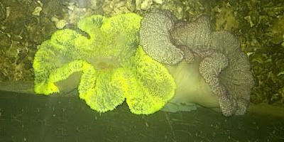 peuf_20110831_66.jpg