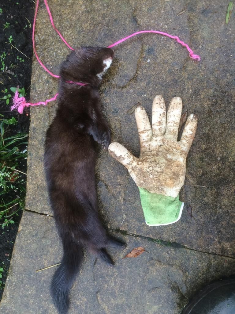 4E060269-E7ED-43FB-8EFF-802E7EF25DDA_zps