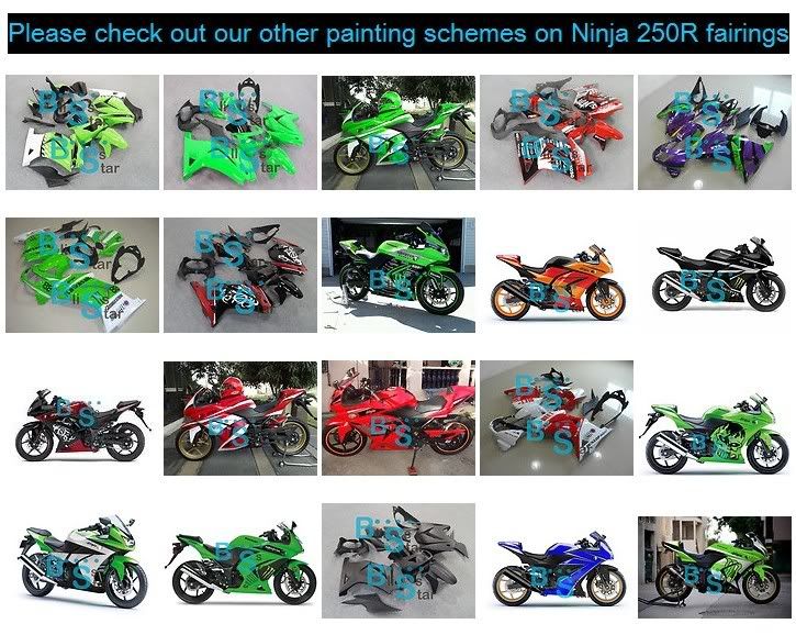 Ninja250rp1.jpg 