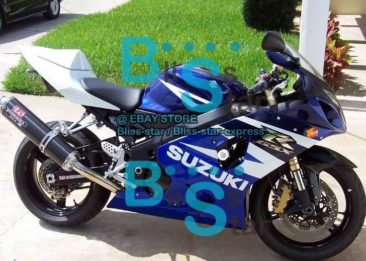 GSXR60075004-0511bs.jpg 