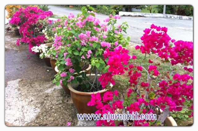 Photobucket Pictures, Images and Photos