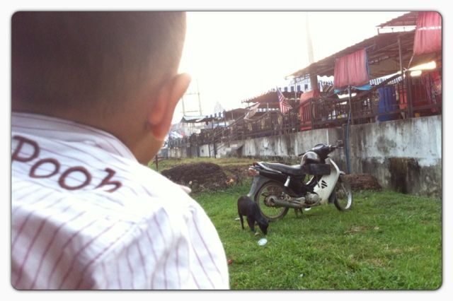 Photobucket Pictures, Images and Photos