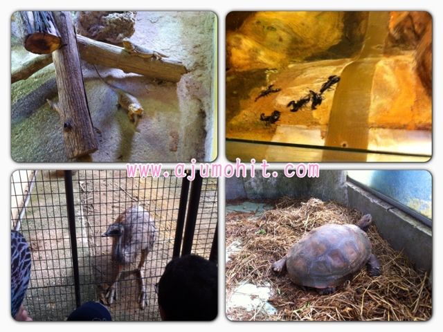 Photobucket Pictures, Images and Photos
