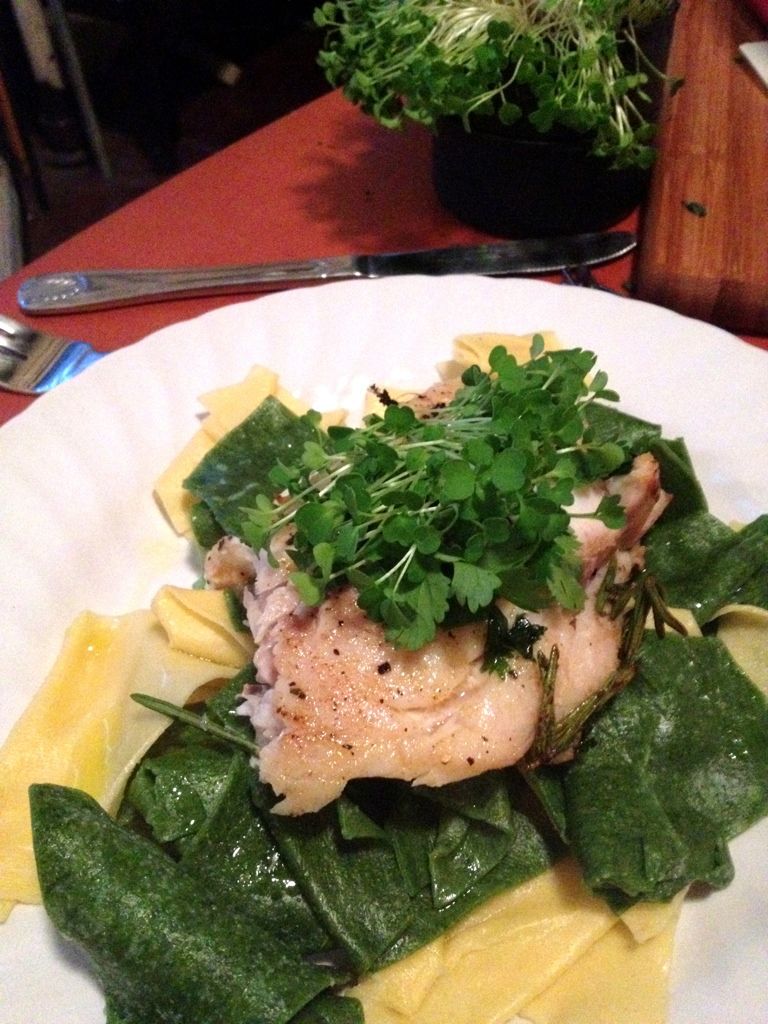 Salmon over home made pasta with microgreen arugula