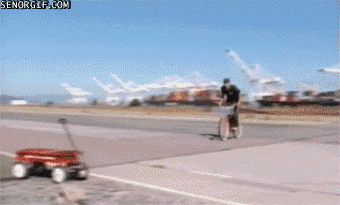 gifs graciosos gifs graciosos