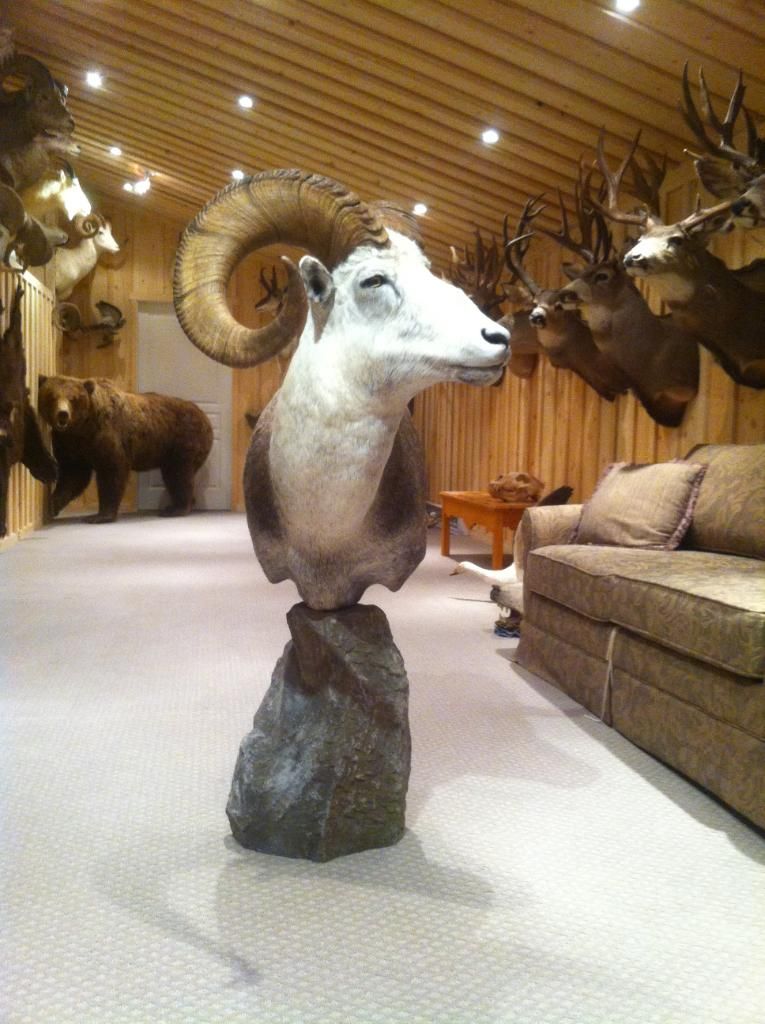 stone sheep back first pedestal mount