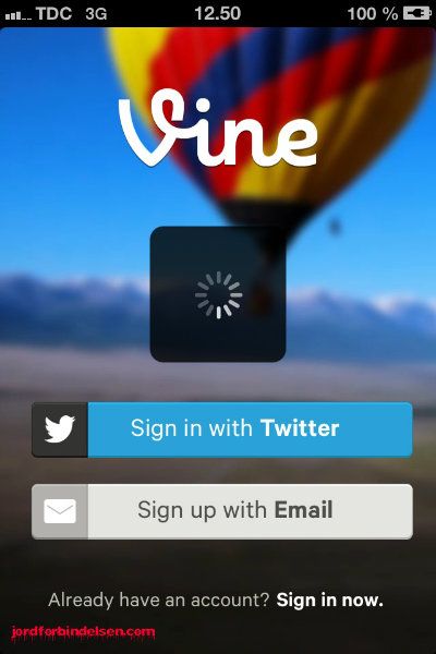 Vine